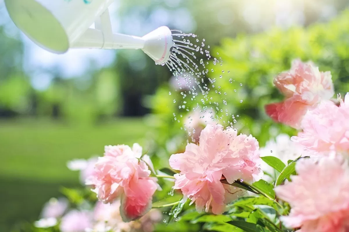 Read more about the article השקעות סולידיות לטווח קצר